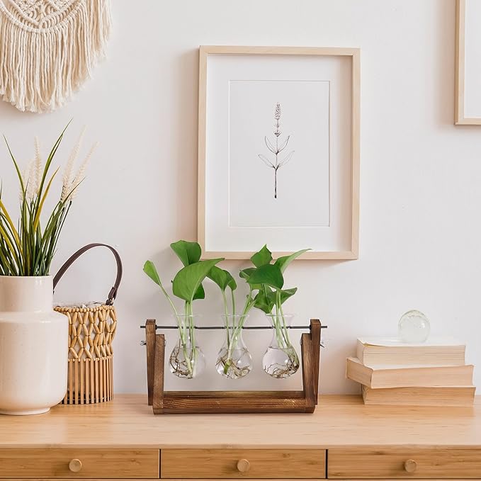 YIBOT Propagation Stations, Plant Terrarium - Image 6