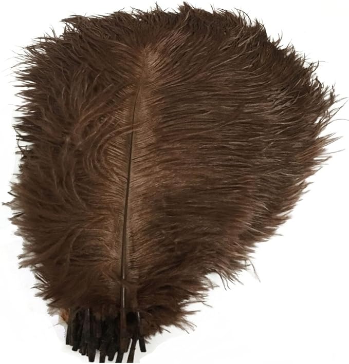 Kolight® 40pcs 12''~14'' Natural Ostrich Feathers by KOLIGHT