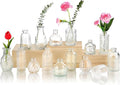 Glass Bud Vase 15 Pcs for Centerpieces Wedding, Home Decor, Bud Vases in Bulk by earthgadgets