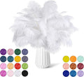 NEWONG 30pcs White Ostrich Feathers Natural Bulk 8-10inch Vase Craft Wedding by NEWONG