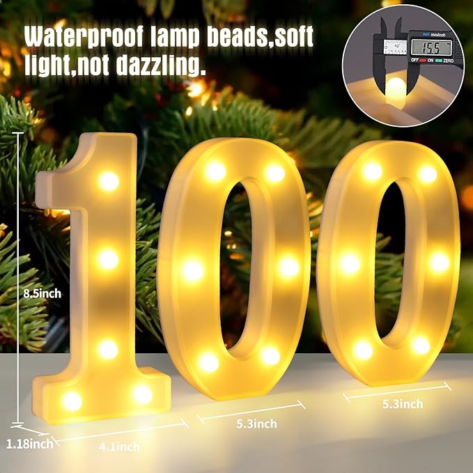 100th Birthday Decorations for Women Men, 100 Birthday Decorations for - Image 2