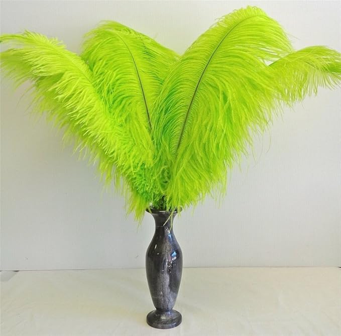 KOLIGHT 40pcs 12''~14'' Natural Ostrich Feathers - Image 3