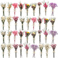 10/12/24/36 Pack Mini Dried Flowers by Unknown