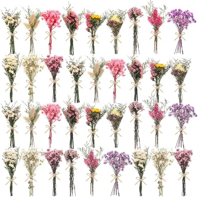 10/12/24/36 Pack Mini Dried Flowers by Unknown
