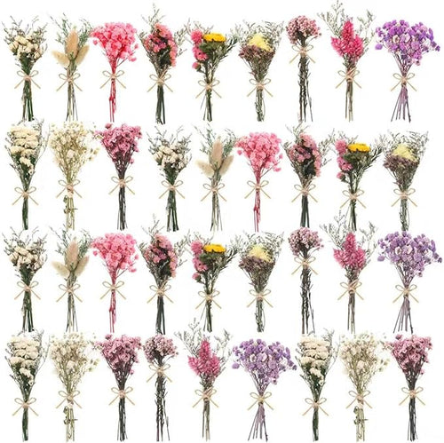 10/12/24/36 Pack Mini Dried Flowers by Unknown