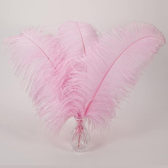 Larryhot Pink Long Ostrich Feathers by Larryhot