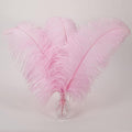 Larryhot Pink Long Ostrich Feathers by Larryhot