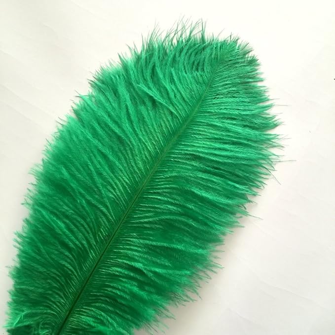 Sowder 14-16inch Ostrich Feathers Plume - Image 3