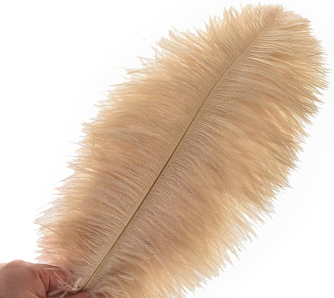 Ballinger Champagne Large Ostrich Feathers - Image 2