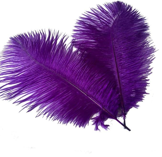 Sowder 16-18inch Ostrich Feathers Plume by Sowder