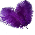 Sowder 16-18inch Ostrich Feathers Plume by Sowder