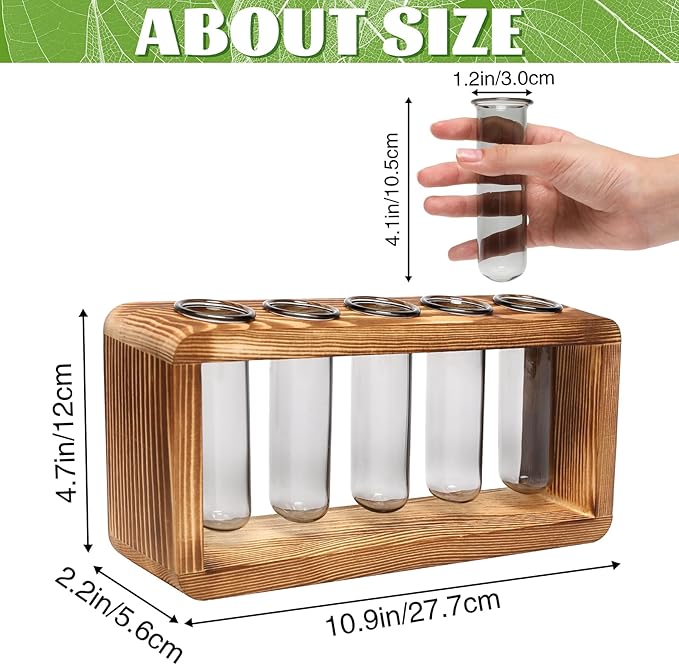 Glass Plant Propagation Station - Image 2