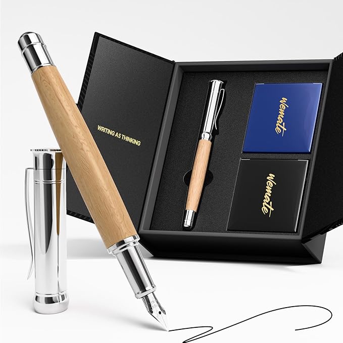 WEMATE Fountain Pen Set, Fine Nib, 20 Ink Cartridges, 1 Ink Converter, Smooth by WEMATE