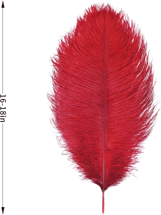 Larryhot Red Large Ostrich Feathers - Image 4