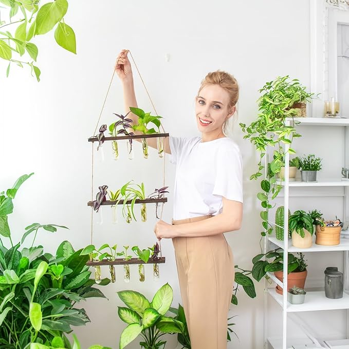 Ivolador Hanging Plant Propagation Tubes, 3 Tiered Wall Hanging Terrarium - Image 9