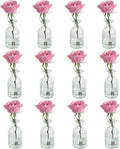 Set of 12 Glass Vases Bud Vases in Bulk, Small Vase by HANIHUA