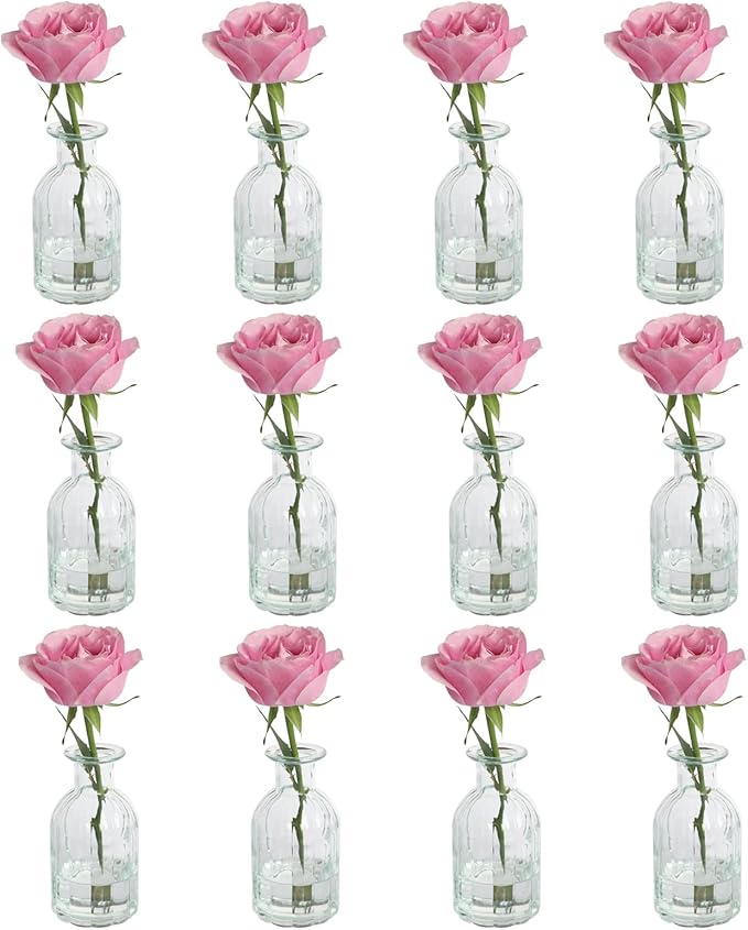 Set of 12 Glass Vases Bud Vases in Bulk, Small Vase by HANIHUA