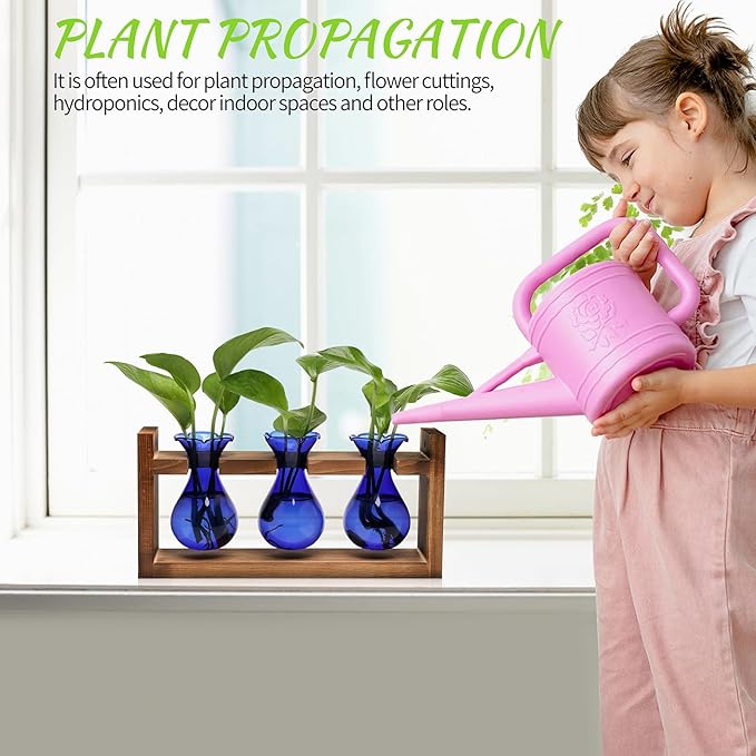 Plant Propagation Station Plant Terrarium Unique Birthday Gifts - Image 4