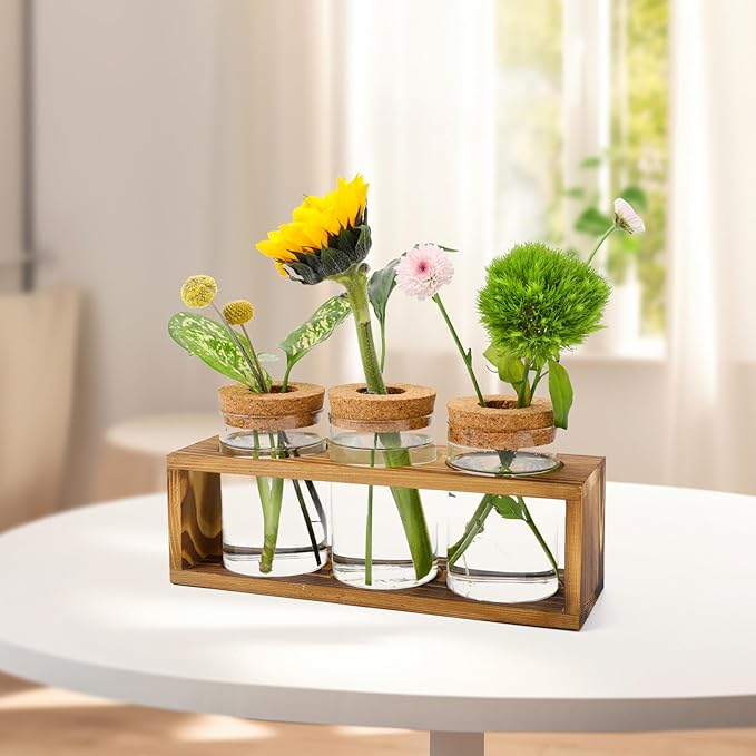 Propagation Stations, Plant Terrarium - Image 6