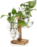 Plants Propagation Stations Plant Terrarium Kit Glass Planters by CYZglass