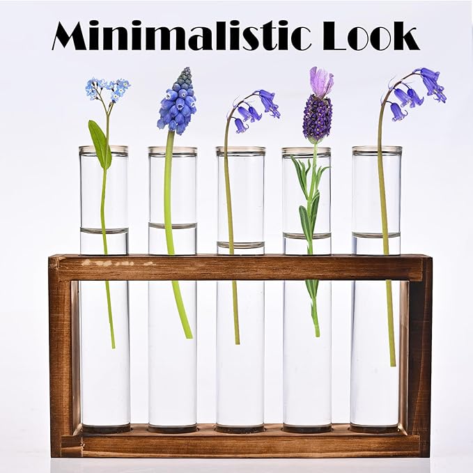 Desktop Glass Plant Propagation Station - Image 3