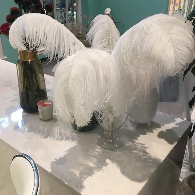 Sowder 16-18inch Ostrich Feathers Plume by Sowder