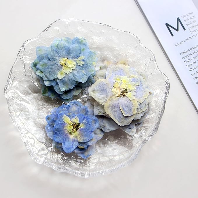 48 Pcs Dried Pressed Flowers for Resin DIY Art Crafts Natural Dry Sakura - Image 5