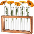 Desktop Glass Plant Propagation Station by Tigvio