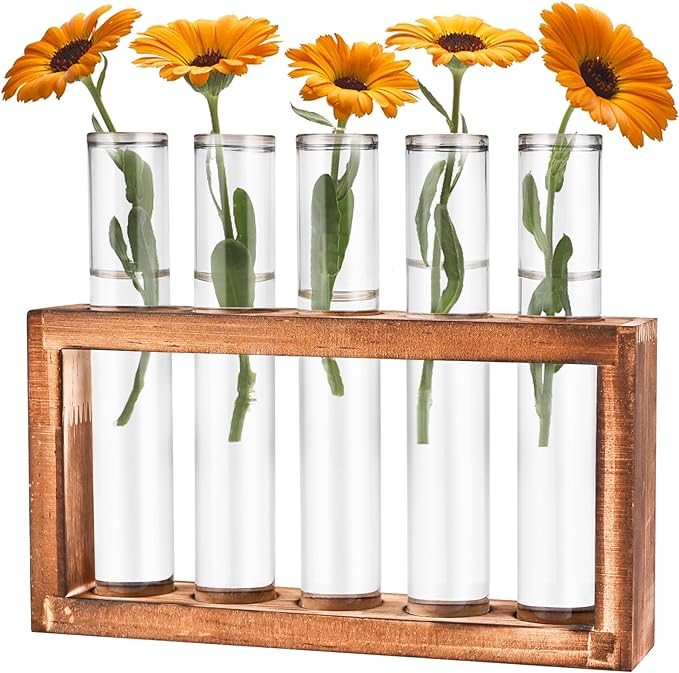 Desktop Glass Plant Propagation Station by Tigvio