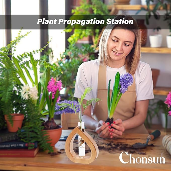 Propagation Stations Planter Terrariums Wall Hanging Test Tube Desk Decorations - Image 5