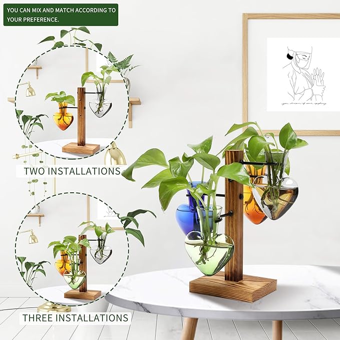 Plants Propagation Stations Plant Terrarium Kit Glass Planters - Image 4