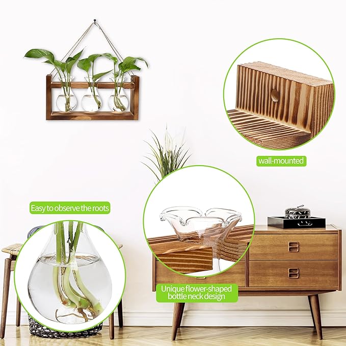 Plant Propagation Station Plant Terrarium Unique Birthday Gifts - Image 2
