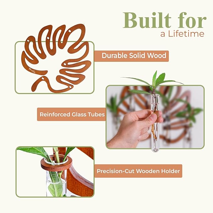 2Special Propagation Stations | Hanging Propagation Station and Wall Planters - Image 3