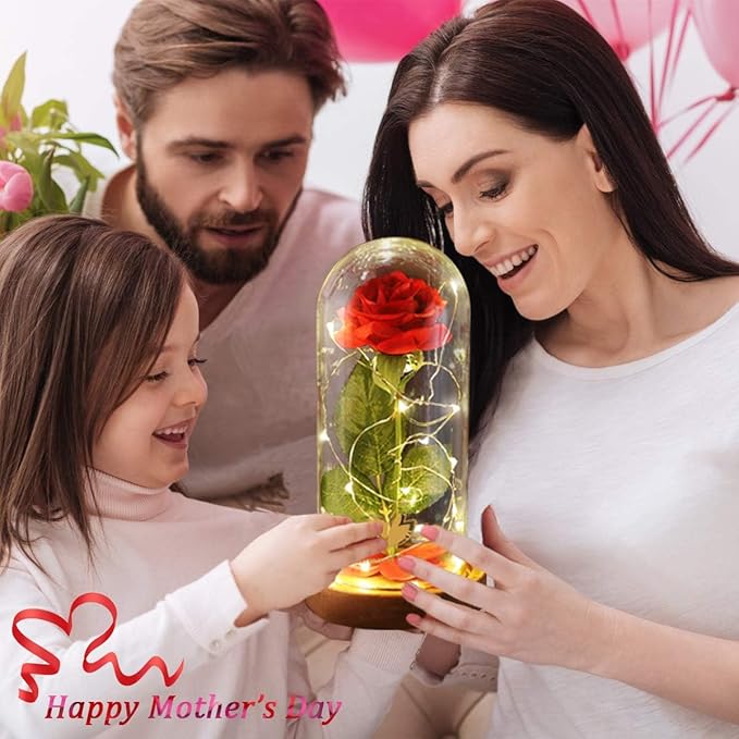 Christmas Day Rose Gifts for Her, Beauty and The Beast Rose in Glass Dome Lasts - Image 5