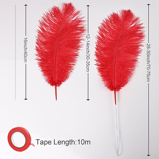 Bulk Red Ostrich Feathers - Image 3