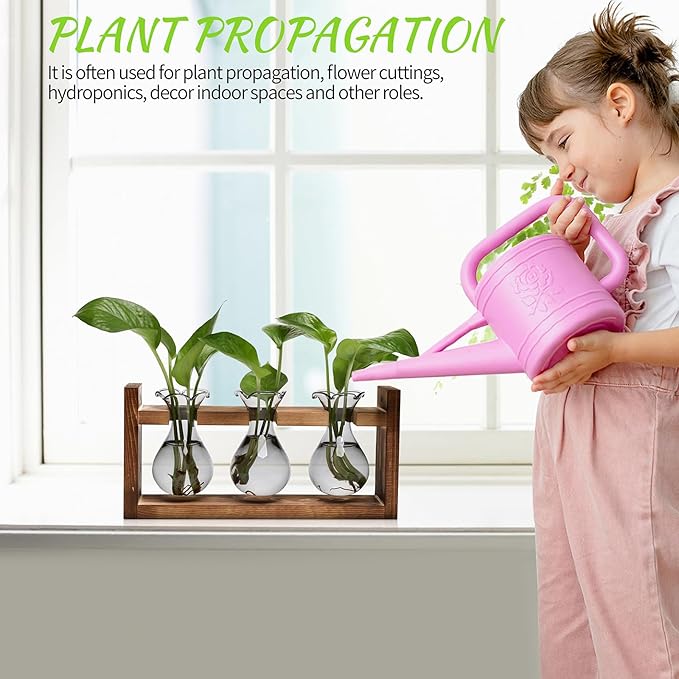 Plant Propagation Station Plant Terrarium Unique Birthday Gifts - Image 4
