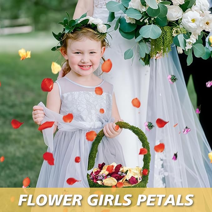 20+ Cups Real Dried Flower Petals, Biodegradable Wedding Flower Confetti - Image 8