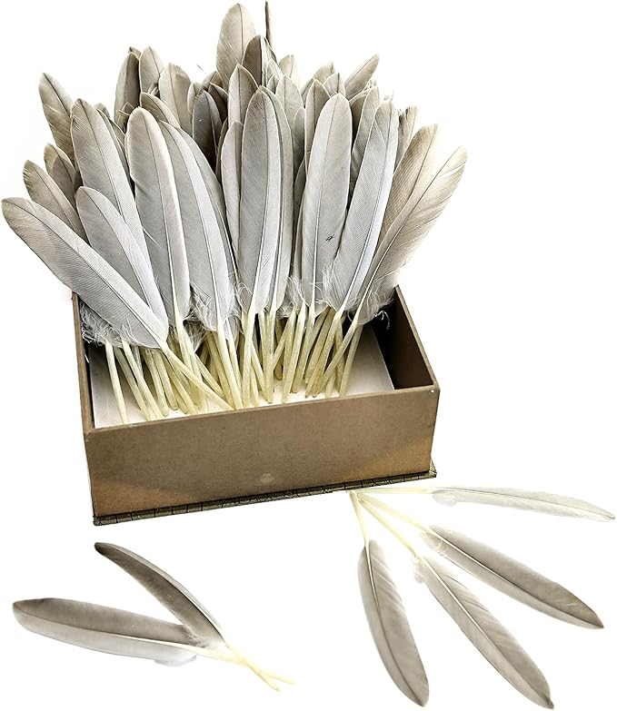 FeelfunFeather 120pcs Natural Gray Goose Cochettes Feathers Bulk 4-6 inches - Image 4