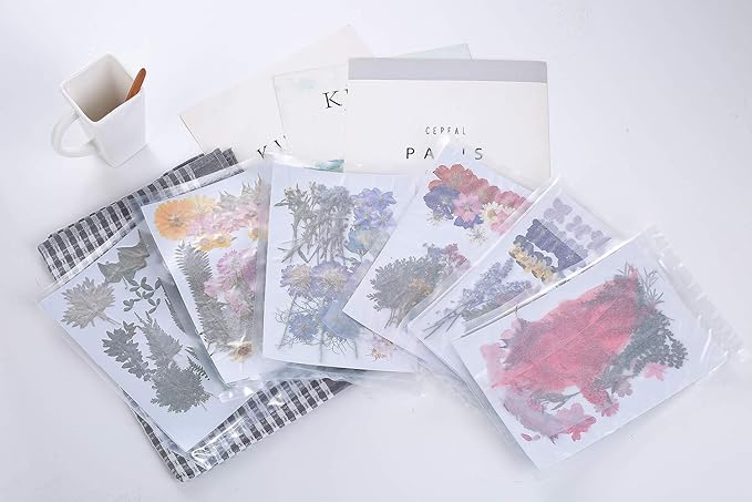 15 Types 48pcs Real Dried Pressed Flowers Leaf Plant Herbarium - Image 7
