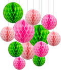 ZOOYOO 12Pcs 6" 10" Honeycomb Balls Decorations Hanging Tissue Paper Pom Poms by ZOOYOO