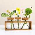 Propagation Stations, Plant Terrarium by Pechaut