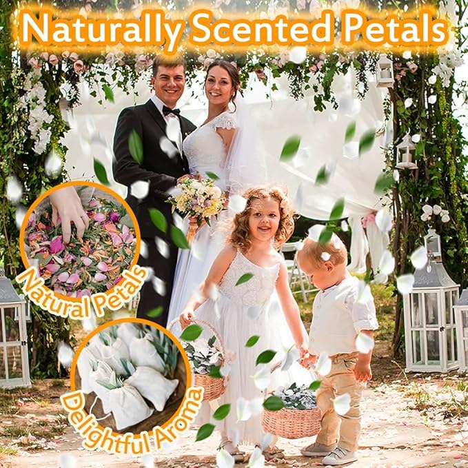 Real Dried Ivory White Hydrangea Flower & Eucalyptus Petals - Image 3