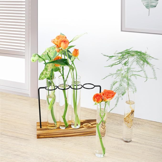 Plant Propagation Station, Glass Tubes - Image 7