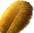 Sowder 6-8inch Ostrich Feathers Plume by Sowder