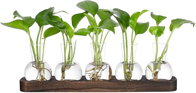 YIBOT Plant Propagation Stations, Glass Propagation Vases by YIBOT