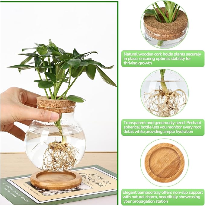 Propagation Station, Larger Capacity Ball Vase - Image 3