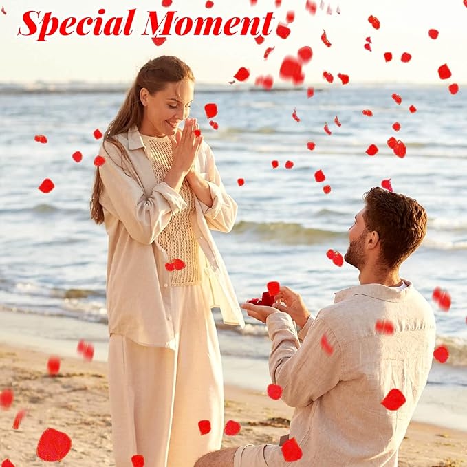 1500Pcs Real Dried Red Hydrangea Flower Petals - Image 6