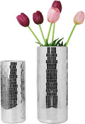 WDHODEC Disco Vase for Flowers 2 PCS Glass Mirror Vases for Living Room by WDHODEC