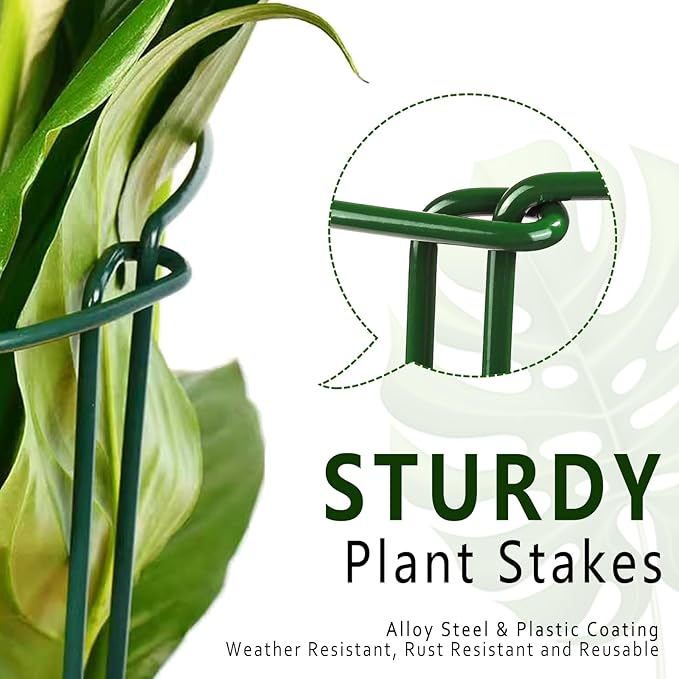 6 Pack Plant Support Stakes, Metal Monstera Plant Support Stakes - Image 5