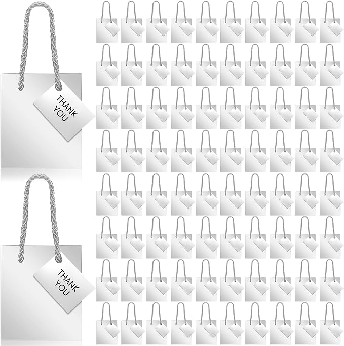 Sherr 100 Pack Mini Gift Bags Bulk, 4 x 2.75 x 4.5 Inches Paper Bags by Sherr